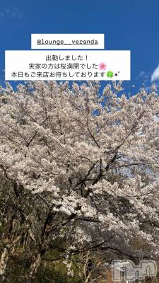 ƲХ顦Lounge Veranda(饦󥸥٥) 51ֽ̥֥жФޤ