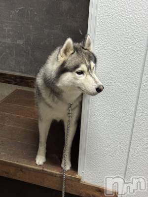 ƲХ顦Lounge Veranda(饦󥸥٥) 1022ֽ̥֥жФޤ