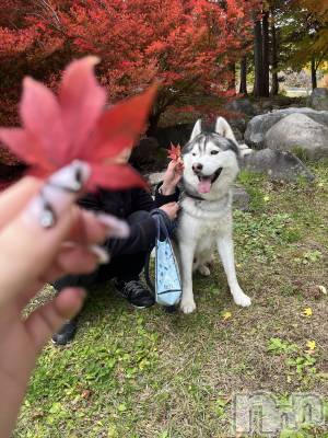 ƲХ顦Lounge Veranda(饦󥸥٥) 1111ֵ̥֥סжС