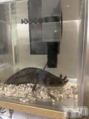 ��Ʋ����Х��顦�����Lounge Veranda(�饦�󥸥٥���) ����12��22���̥�֥����ֽжС���