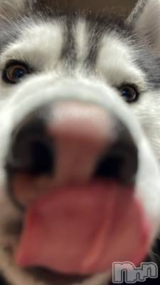 ��Ʋ����Х��顦�����Lounge Veranda(�饦�󥸥٥���) ����12��29���̥�֥��������ߤ��Ҥɤ�😢��