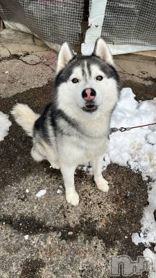 ��Ʋ����Х��顦�����Lounge Veranda(�饦�󥸥٥���) ����2��6���̥�֥����ֽжС���