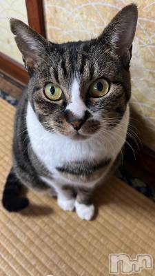 ��Ʋ����Х��顦�����Lounge Veranda(�饦�󥸥٥���) ����2��7���̥�֥����ֽжФǤ�����