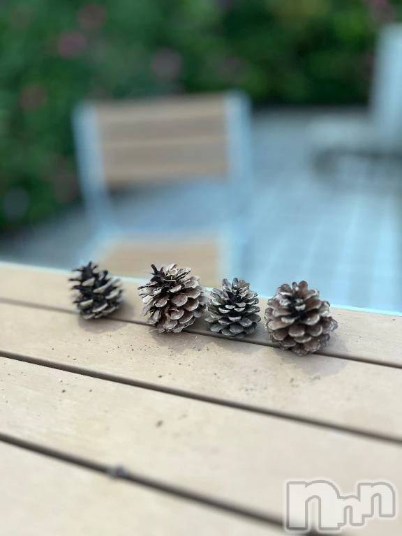 新潟デリヘル新潟市鳥屋野潟ちゃんこ(ニイガタシトヤノガタチャンコ) まき(36)の10月4日写メブログ「こういうの、つい撮っちゃう」