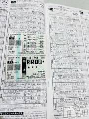 新潟デリヘル新潟市鳥屋野潟ちゃんこ(ニイガタシトヤノガタチャンコ) まき(36)の1月20日写メブログ「最近始めました✨」