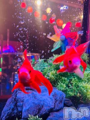 新潟ぽっちゃり 新潟市鳥屋野潟ちゃんこ(ニイガタシトヤノガタチャンコ) まき(36)の8月23日写メブログ「気分だけでも涼しく🐠🫧‪」