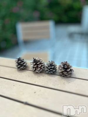 新潟デリヘル 新潟市鳥屋野潟ちゃんこ(ニイガタシトヤノガタチャンコ) まき(36)の10月4日写メブログ「こういうの、つい撮っちゃう」