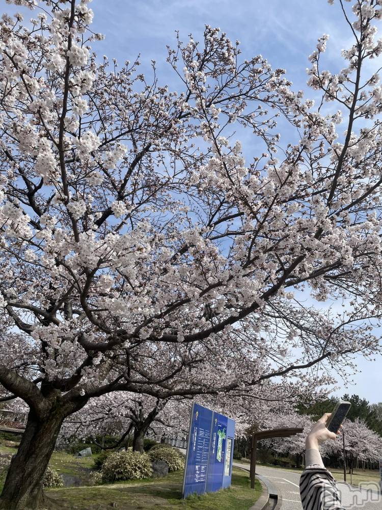 Х顦Blanc (֥) Ĥߤ416ָ̥֥֤🌸