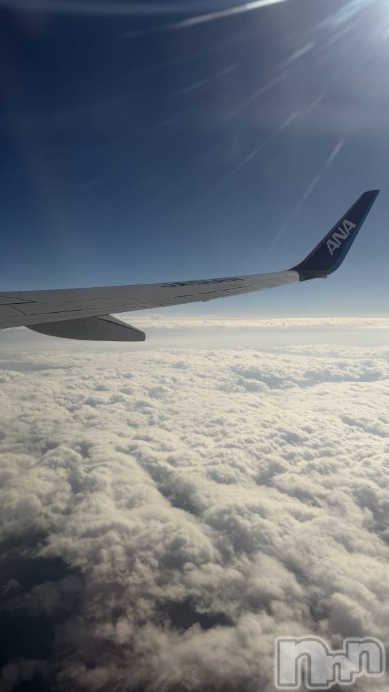 �����������Х��顦�����Blanc (�֥��) �Ĥ��ߤ�12��17���̥�֥�����✈️��