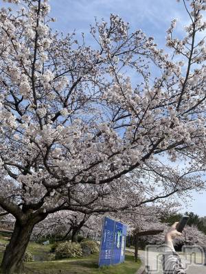 Х顦Blanc (֥) Ĥߤ416ָ̥֥֤🌸