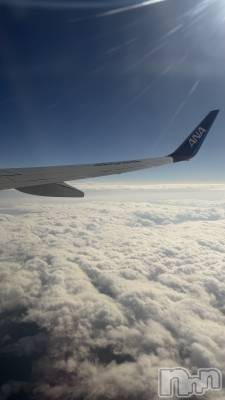 �����������Х��顦�����Blanc (�֥��) �Ĥ��ߤ�12��17���̥�֥�����✈️��