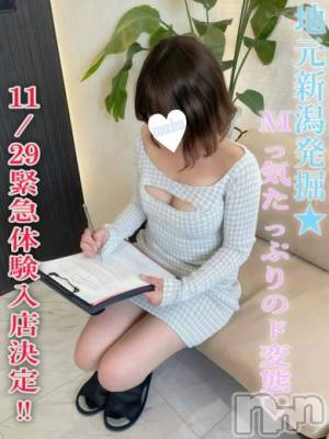 ひまり(21) 身長157cm、スリーサイズB89(D).W56.H92。長岡デリヘル 純・無垢(ジュンムク)在籍。