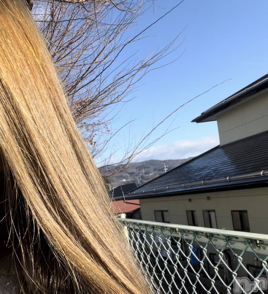 ��ë����Х��顦�����CLUB��Paladin(����֡��ѥ�ǥ���) ���Ĥͤͤ�12��5���̥�֥�����🆕��