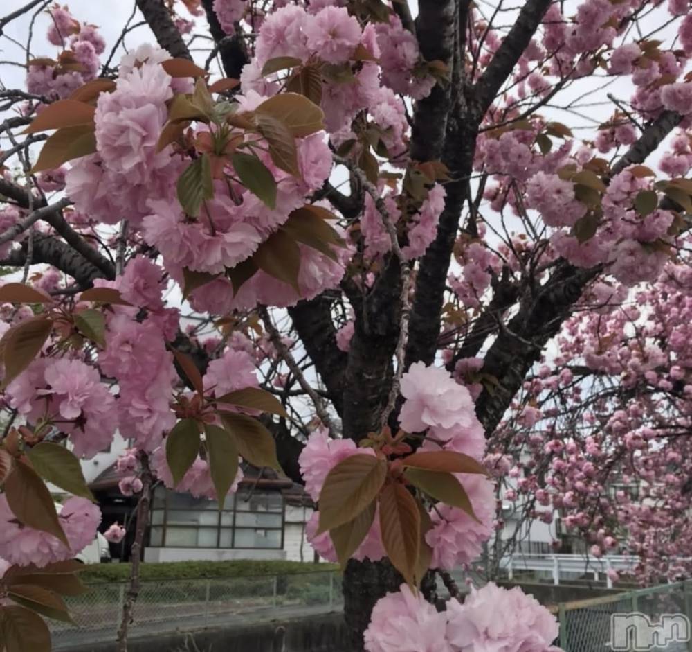 ��ë����Х��顦�����CLUB��Paladin(����֡��ѥ�ǥ���) ���Ĥͤͤ�5��2���̥�֥��������ߡġ���