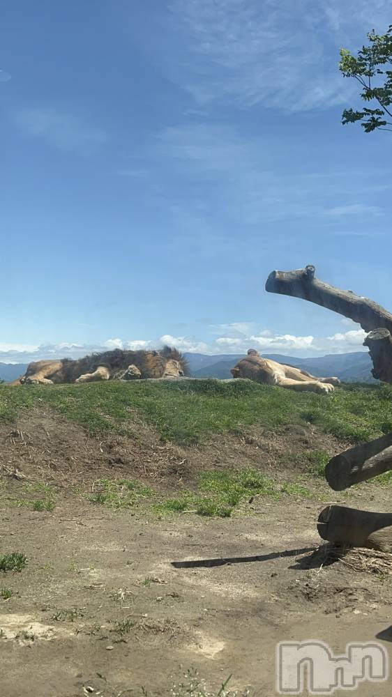 ��ë����Х��顦�����CLUB��Paladin(����֡��ѥ�ǥ���) ���Ĥͤͤ�5��12���̥�֥�����🦁🧡��