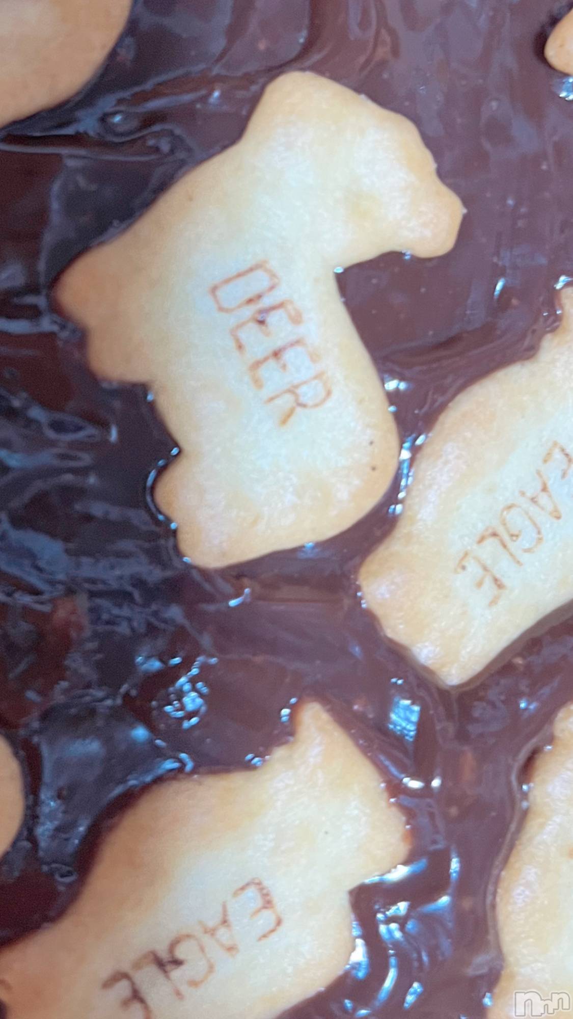 ��ë����Х��顦�����CLUB��Paladin(����֡��ѥ�ǥ���) ��2025ǯ2��14���̥�֥������ᵯ���ϡġ�