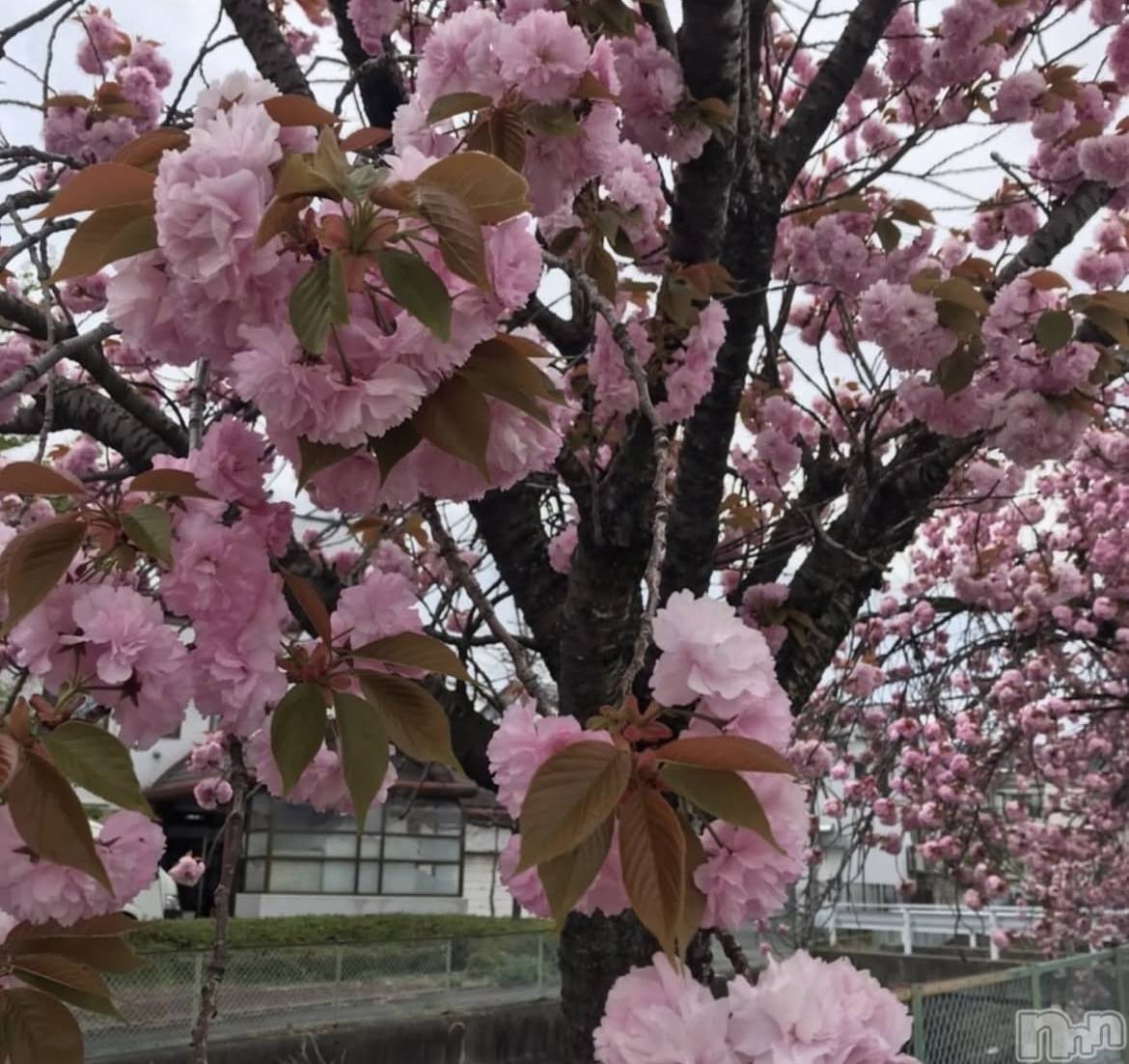 ��ë����Х��顦�����CLUB��Paladin(����֡��ѥ�ǥ���) ��2025ǯ5��2���̥�֥��������ߡġ���