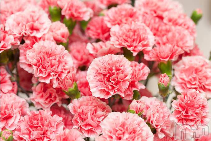 ��ë����Х��顦�����CLUB��Paladin(����֡��ѥ�ǥ���) ��2025ǯ5��10���̥�֥�����💐�ġ���