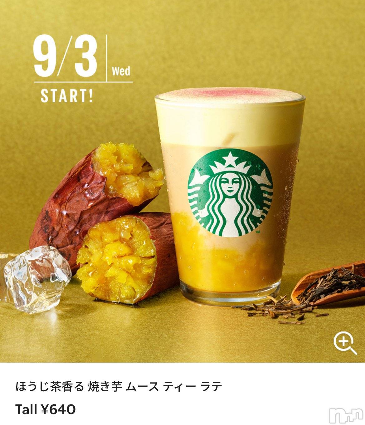 ��ë����Х��顦�����CLUB��Paladin(����֡��ѥ�ǥ���) ��2025ǯ8��31���̥�֥����ֿ��ߤΡ�