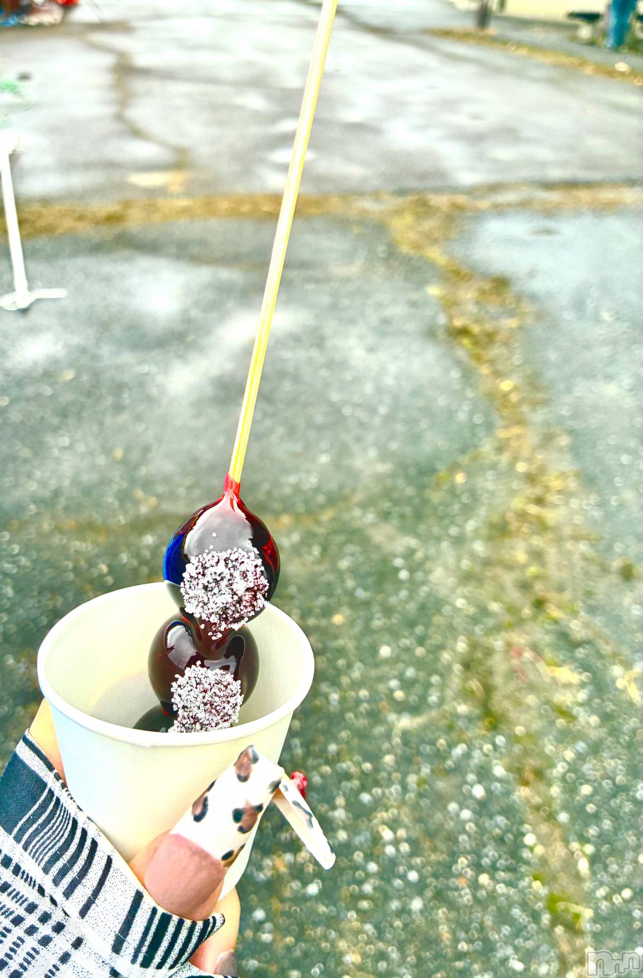 ��ë����Х��顦�����CLUB��Paladin(����֡��ѥ�ǥ���) ��2025ǯ9��20���̥�֥�����🍇��