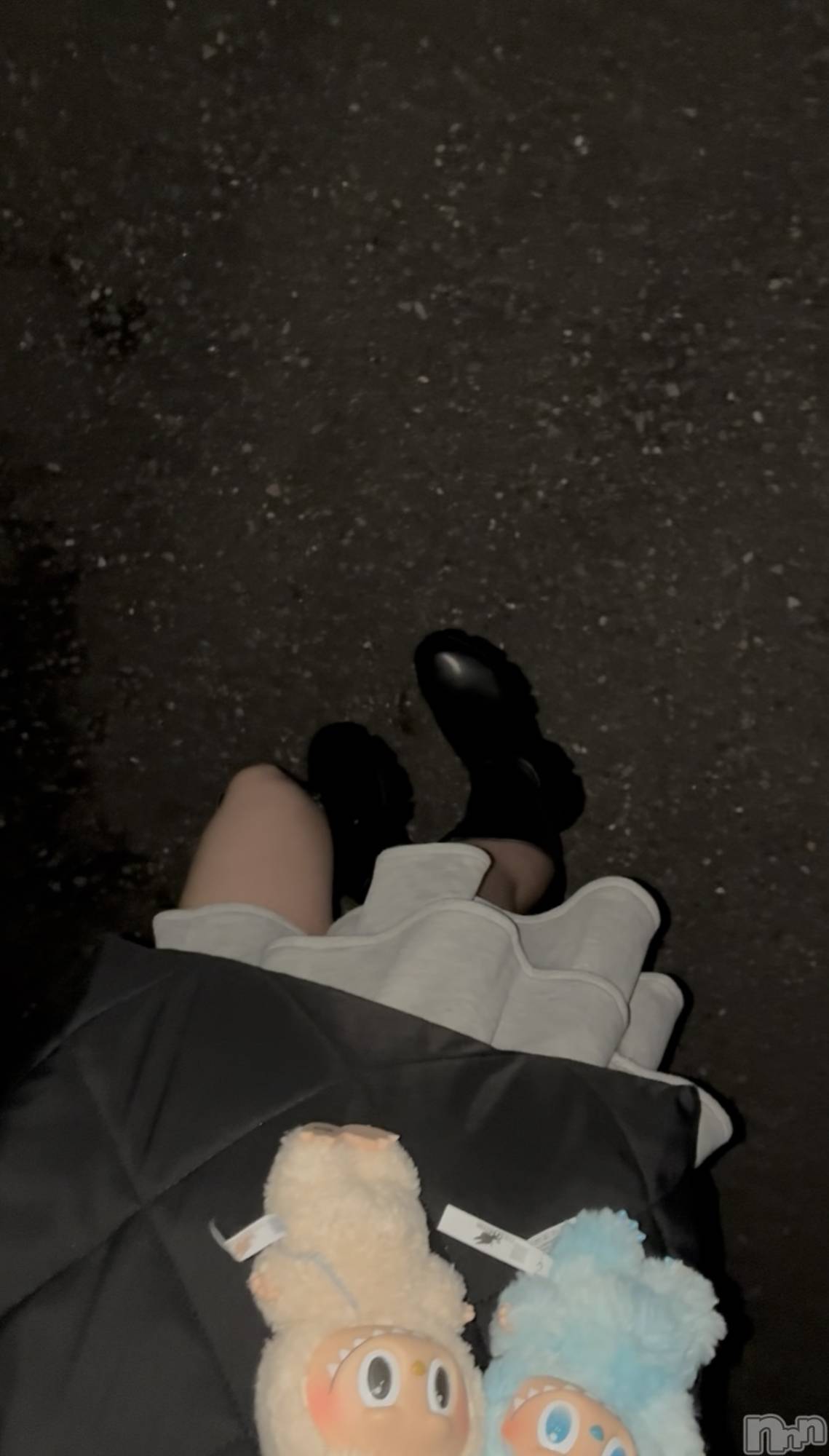 ��ë����Х��顦�����CLUB��Paladin(����֡��ѥ�ǥ���) ��2025ǯ10��4���̥�֥�����🩶��