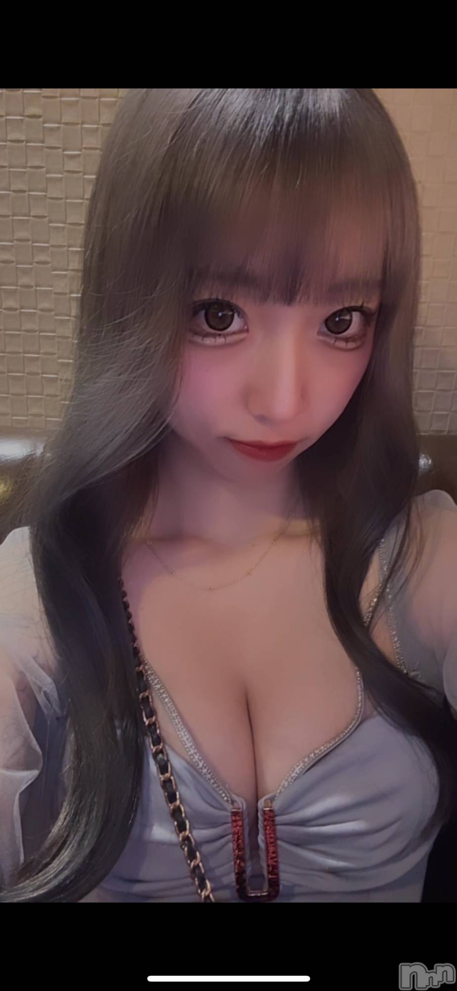 ��ë����Х��顦�����CLUB��Paladin(����֡��ѥ�ǥ���) ��2025ǯ11��14���̥�֥�����or��