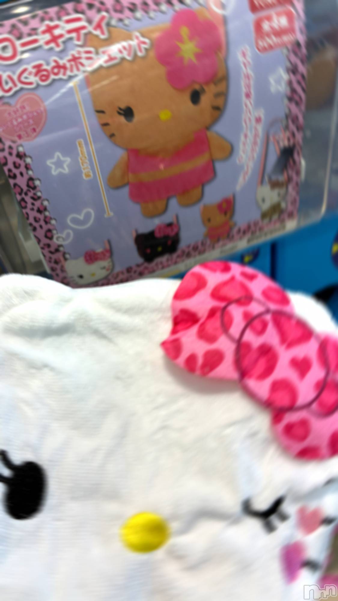 ��ë����Х��顦�����CLUB��Paladin(����֡��ѥ�ǥ���) ��2025ǯ11��19���̥�֥����֡�������