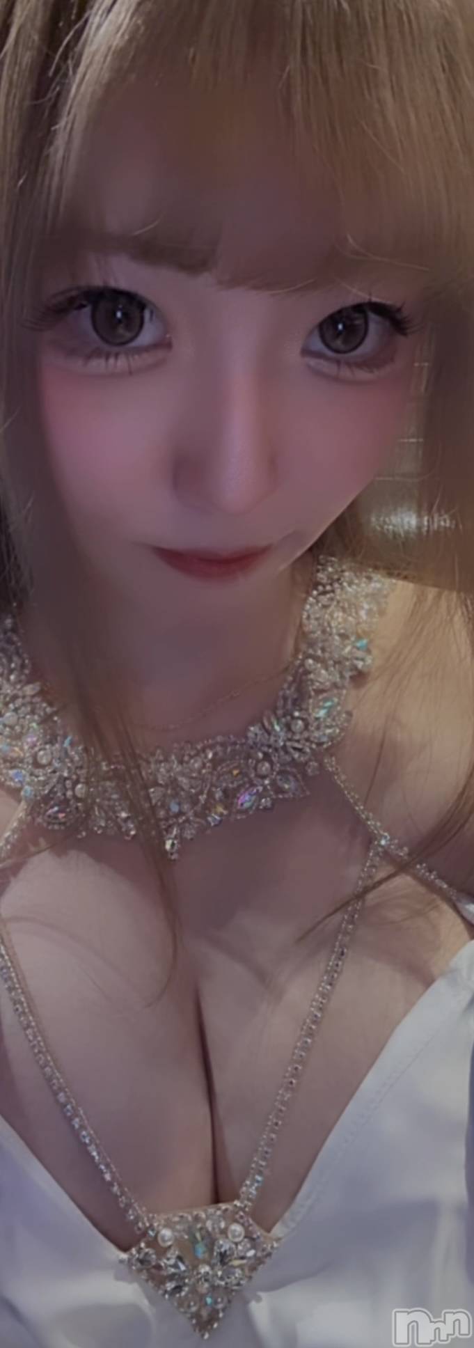 ��ë����Х��顦�����CLUB��Paladin(����֡��ѥ�ǥ���) ��2026ǯ2��17���̥�֥�����🤍��