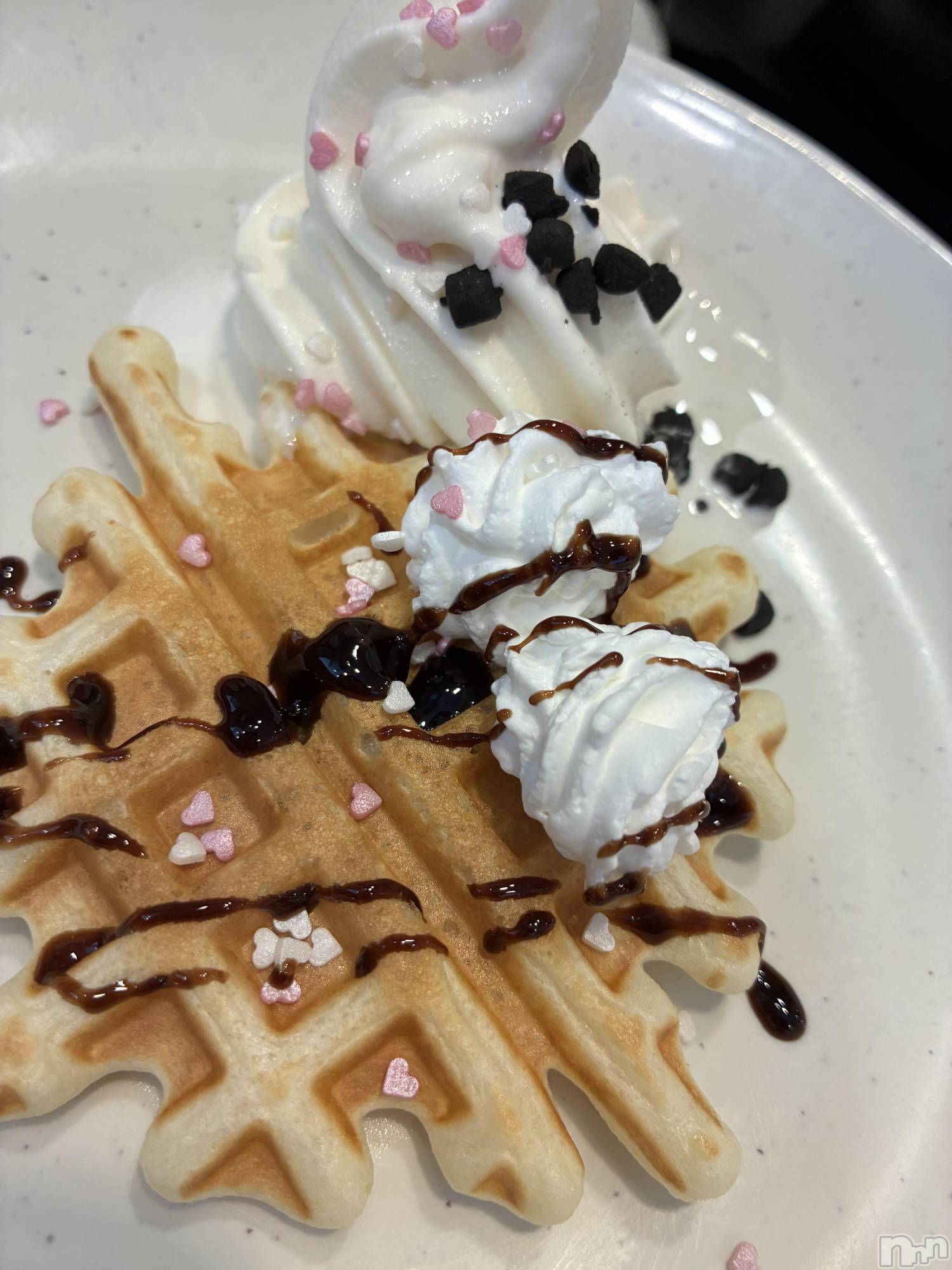 ��ë����Х��顦�����CLUB��Paladin(����֡��ѥ�ǥ���) ��2026ǯ3��7���̥�֥�����🍨��