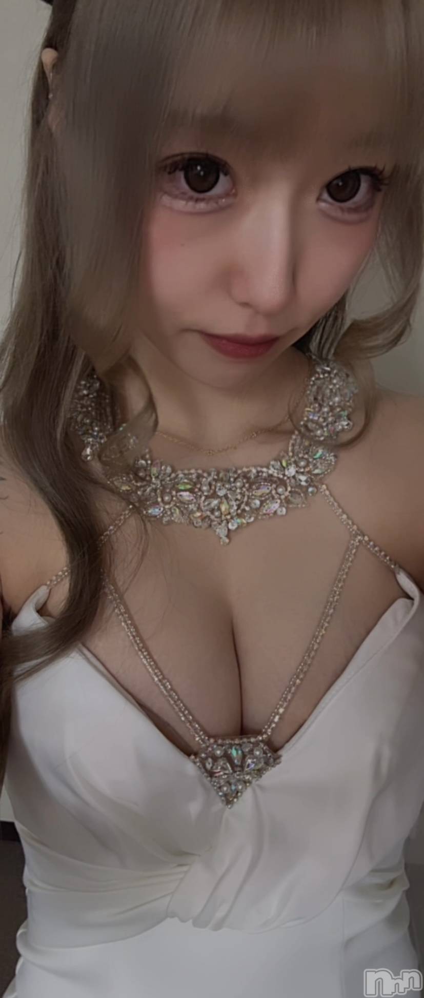 ��ë����Х��顦�����CLUB��Paladin(����֡��ѥ�ǥ���) ��2026ǯ3��10���̥�֥����ֺ����ϡ�