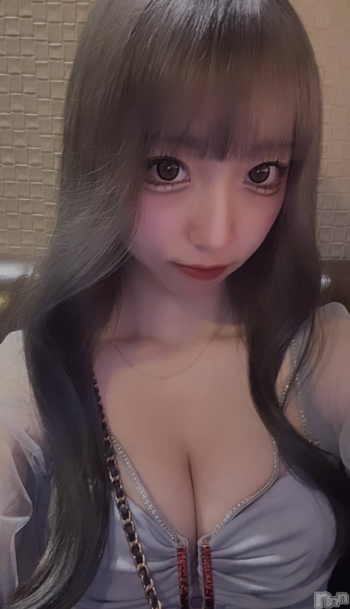 ��ë����Х��顦�����CLUB��Paladin(����֡��ѥ�ǥ���) ��2026ǯ3��14���̥�֥�����������