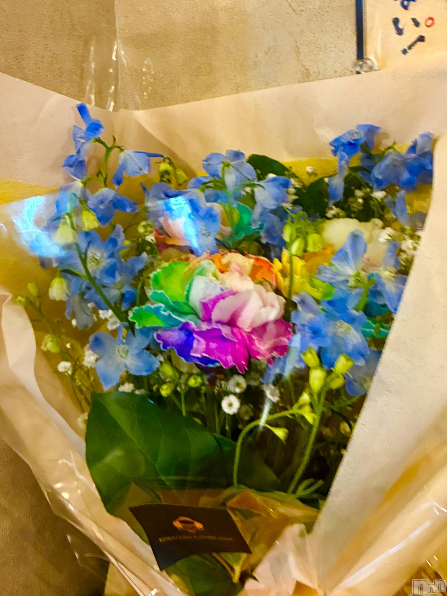 ��ë����Х��顦�����CLUB��Paladin(����֡��ѥ�ǥ���) ��2026ǯ3��30���̥�֥�����💐��