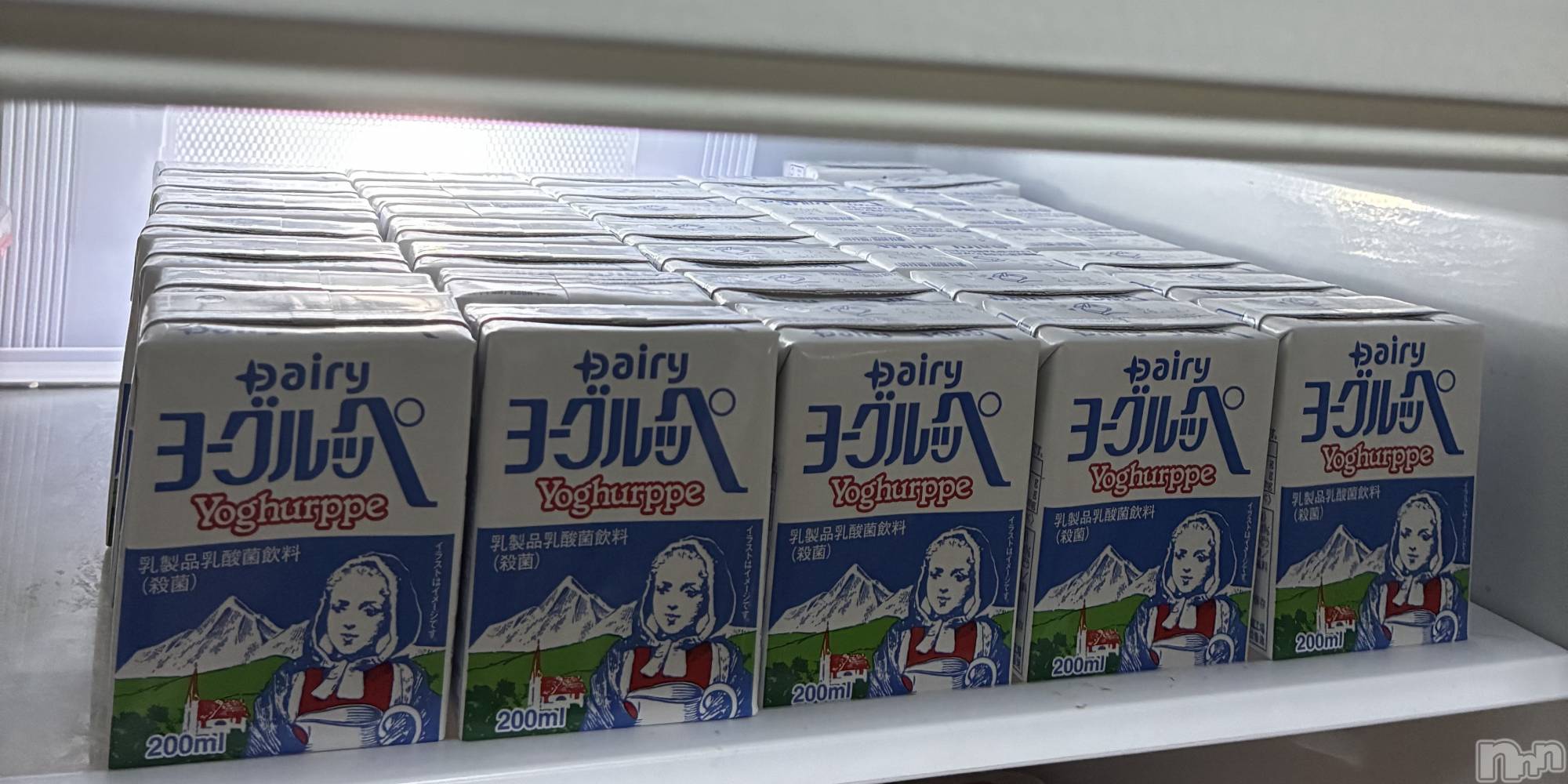 ��ë����Х��顦�����CLUB��Paladin(����֡��ѥ�ǥ���) ��2026ǯ4��1���̥�֥����ֱ�����������