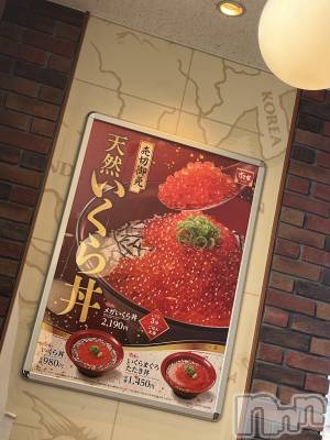 ��ë����Х��顦�����CLUB��Paladin(����֡��ѥ�ǥ���) ���Ĥͤ�(23)��12��22���̥�֥�����ǰ�꤬��ġ���