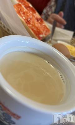 ��ë����Х��顦�����CLUB��Paladin(����֡��ѥ�ǥ���) ���Ĥͤ�(23)��3��14���̥�֥�������������