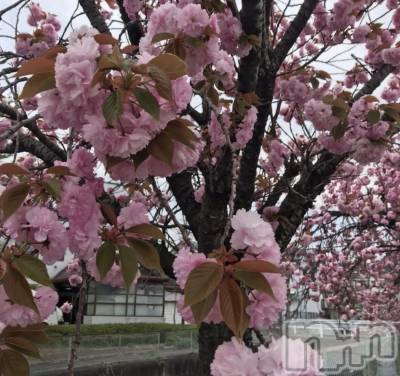 ��ë����Х��顦�����CLUB��Paladin(����֡��ѥ�ǥ���) ���Ĥͤ�(23)��5��2���̥�֥��������ߡġ���