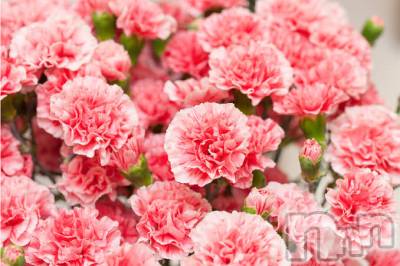 ��ë����Х��顦�����CLUB��Paladin(����֡��ѥ�ǥ���) ���Ĥͤ�(23)��5��10���̥�֥�����💐�ġ���