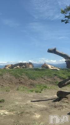 ��ë����Х��顦�����CLUB��Paladin(����֡��ѥ�ǥ���) ���Ĥͤ�(23)��5��12���̥�֥�����🦁🧡��