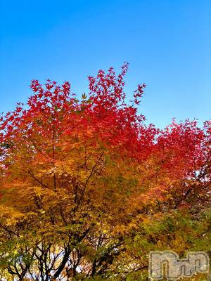 ��ë����Х��顦�����CLUB��Paladin(����֡��ѥ�ǥ���) ���Ĥͤ�(23)��11��15���̥�֥�����🍁��