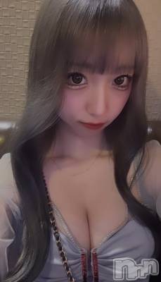 ��ë�ԥ���Х��顦����� CLUB��Paladin(����֡��ѥ�ǥ���) ���Ĥͤͤβ���(1����)