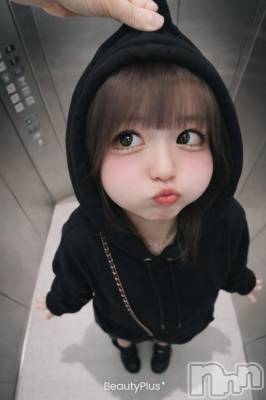 ��ë����Х��顦�����CLUB��Paladin(����֡��ѥ�ǥ���) ���Ĥͤ�(23)��1��20���̥�֥����ֺ������