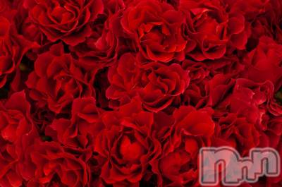 ��ë����Х��顦�����CLUB��Paladin(����֡��ѥ�ǥ���) ���Ĥͤ�(23)��4��3���̥�֥�����🌹��