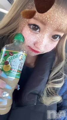 ������⁉️