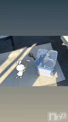 ���������롩