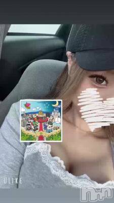 ���������ľ�