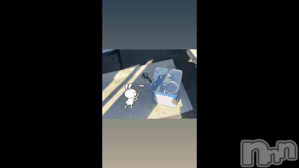 �����������롩��