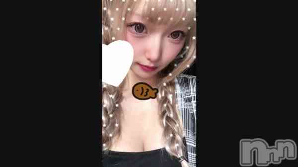 ��🐈��