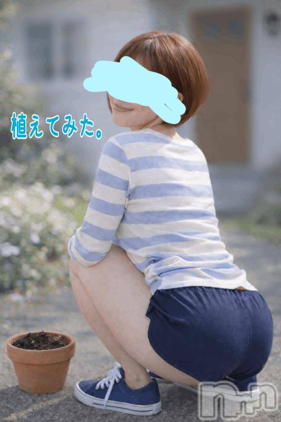 長岡デリヘル人妻楼　長岡店(ヒトヅマロウ　ナガオカテン) けい(42)の3月29日写メブログ「育ててみる。」