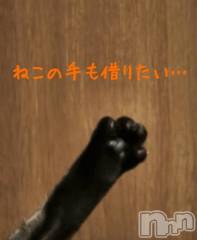 長岡デリヘル人妻楼　長岡店(ヒトヅマロウ　ナガオカテン) けい(42)の12月21日写メブログ「ゆきゆきて、ラスト(？)」