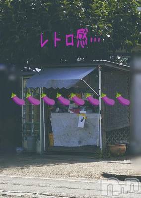 長岡デリヘル 人妻楼 長岡店(ヒトヅマロウ ナガオカテン) けい(42)の8月1日写メブログ「ナスよりモロコシが好き~🌽.🌽」